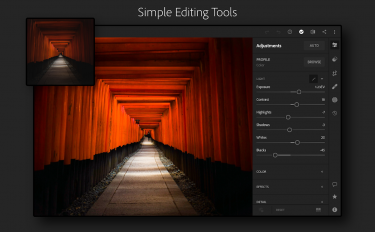 screenshoot for Adobe Lightroom - Photo Editor & Pro Camera