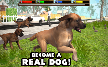 screenshoot for Ultimate Dog Simulator