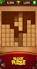 screenshoot for Wood Block Puzzle