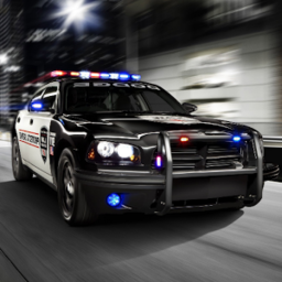 logo for Fast Police Car Driving 3D