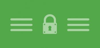 graphic for Secure VPN－Safer Internet 4.0.2