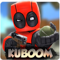 logo for KUBOOM