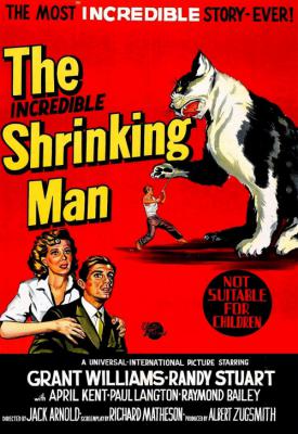 image for  The Incredible Shrinking Man movie
