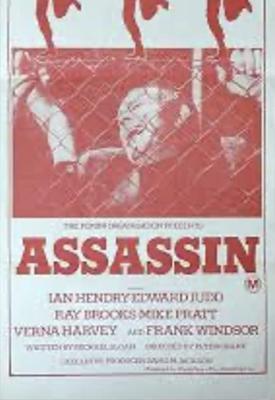 poster for Assassin 1973