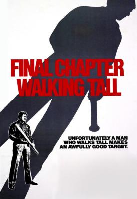 image for  Final Chapter: Walking Tall movie