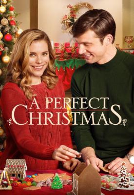 image for  A Perfect Christmas movie