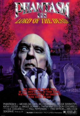 image for  Phantasm III: Lord of the Dead movie