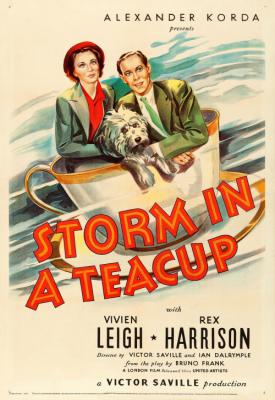 image for  Storm in a Teacup movie