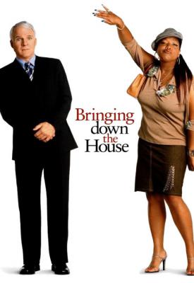 image for  Bringing Down the House movie