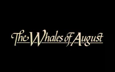 screenshoot for The Whales of August