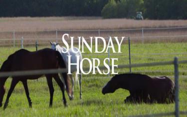 screenshoot for A Sunday Horse
