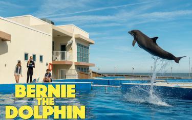 screenshoot for Bernie The Dolphin