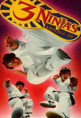 image for  3 Ninjas Knuckle Up movie