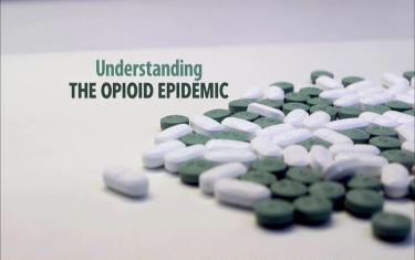 screenshoot for Understanding the Opioid Epidemic