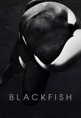 poster for Blackfish 2013