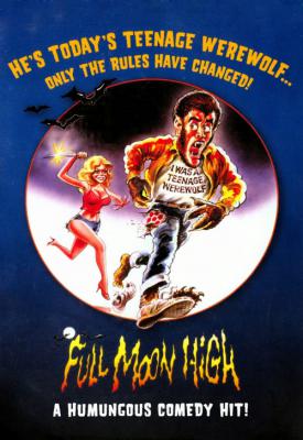 image for  Full Moon High movie