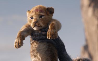 screenshoot for The Lion King