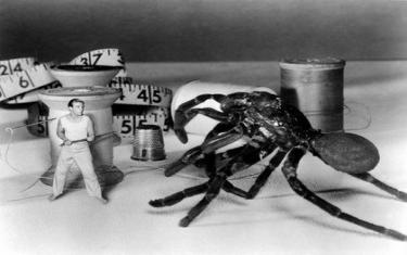 screenshoot for The Incredible Shrinking Man