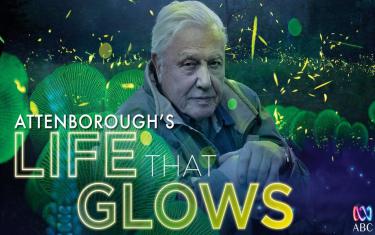 screenshoot for Attenborough’s Life That Glows