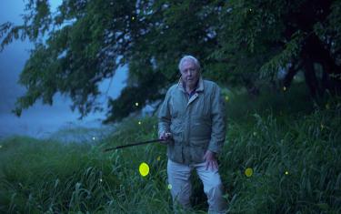 screenshoot for Attenborough’s Life That Glows