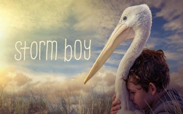 screenshoot for Storm Boy