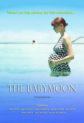 image for  The Babymoon movie