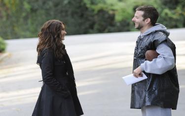 screenshoot for Silver Linings Playbook