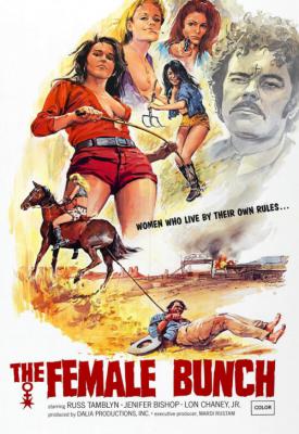 poster for The Female Bunch 1971