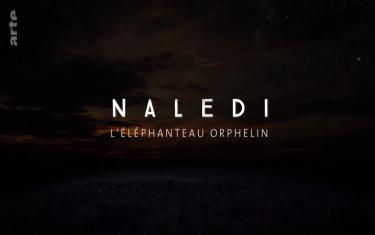screenshoot for Naledi: A Baby Elephants Tale