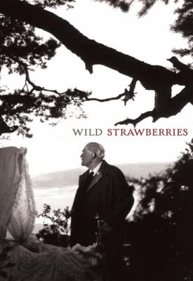 image for  Wild Strawberries movie