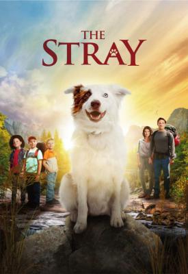 poster for The Stray 2017