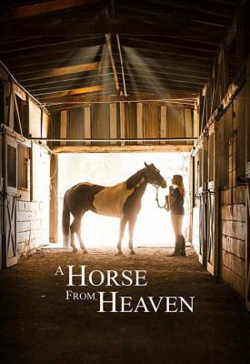 image for  A Horse from Heaven movie