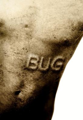 image for  Bug movie