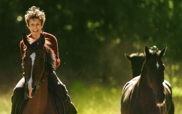 screenshoot for Out Stealing Horses