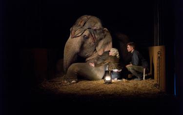 screenshoot for Water for Elephants