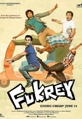 image for  Fukrey movie