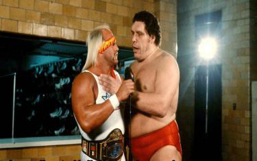 screenshoot for Andre the Giant