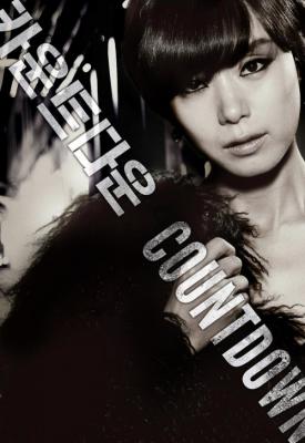 poster for Countdown 2011