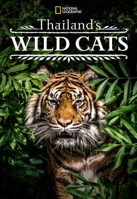 poster for Thailand’s Wild Cats 2021