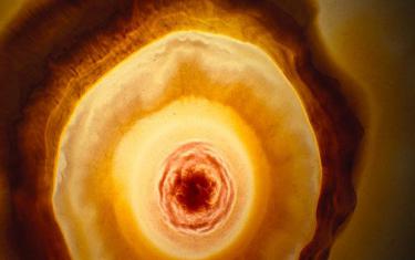 screenshoot for Voyage of Time: Lifes Journey
