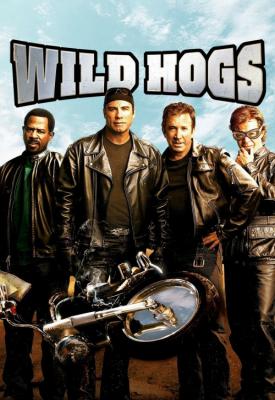 image for  Wild Hogs movie