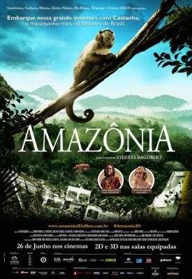 poster for Amazon 2013