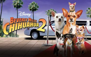 screenshoot for Beverly Hills Chihuahua 2