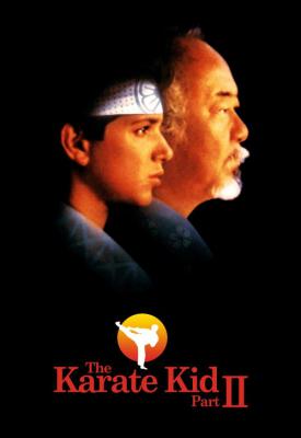 image for  The Karate Kid Part II movie