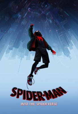 image for  Spider-Man: Into the Spider-Verse movie