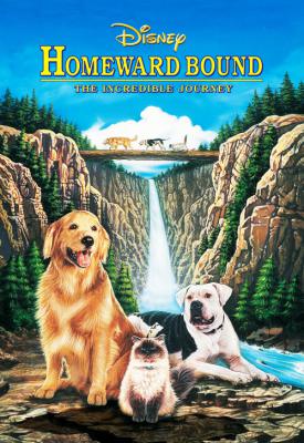 image for  Homeward Bound: The Incredible Journey movie