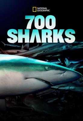 poster for 700 requins dans la nuit 2018