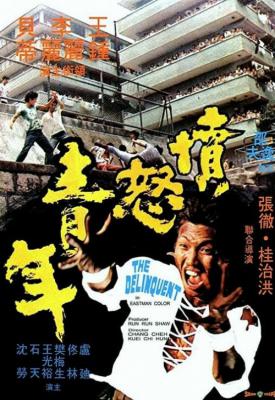 poster for The Delinquent 1973
