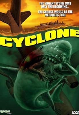 poster for Cyclone 1978