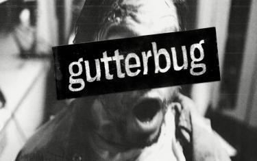 screenshoot for Gutterbug